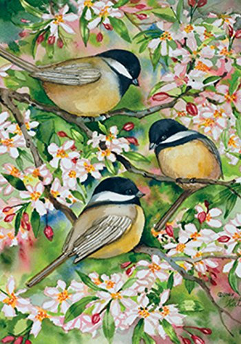Toland Home Garden Sweet Chickadees Drapeau 117078, Polyester, 28 x 40