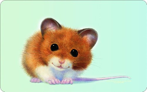 Rahmenlos® Frühstücksbrettchen - Hamster, Hamsterchen- küchen- und lebensmittelgerechtes Resopal 23,5 x 14,5 cm