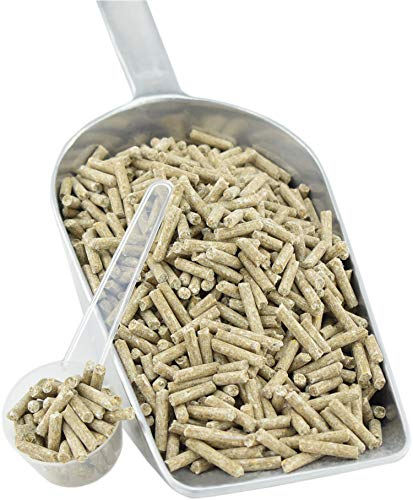 Scheidler horse-direkt Biotin 2000, pellettiert, Zink, Kupfer, staubarme Fütterung für Pferde, Ponys 1,5 kg Eimer - Ergänzungsfuttermittel