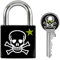 Master Lock 3430EURDSKULL Candado a Llaves Con Estampado de Calavera, Calavera, 5,3 x 3 x 1,5 cm