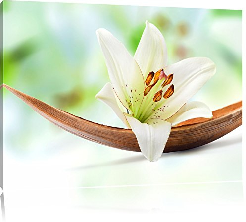 Pixxprint Schöne Lilie Blüte auf Bananenblatt, Größe: 120x80cm, Leinwandbild, fertig gespannt, Wandbild, Dekoration, Kunstdruck, kein Poster