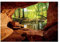 WallArena - Vlies Fototapete Wald Bach Sonne Höhle Natur Landschaft 368x254 cm - Fototapeten - Tapeten - für Wohnzimmer Schlafzimmer - Vliestapete Wandtapete Tapete 3D Effekt- inkl. Kleister