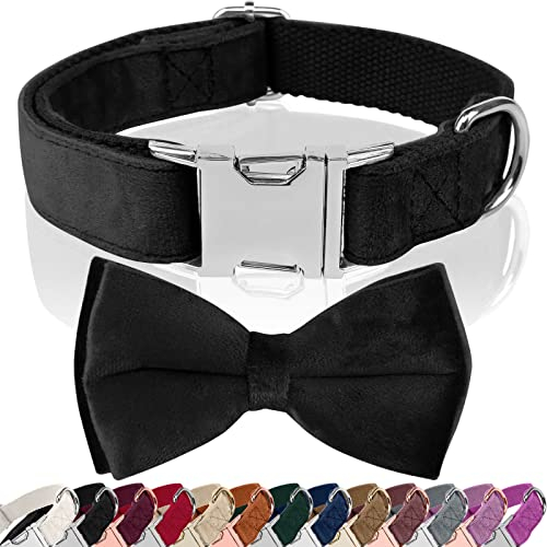Asvin Hundehalsband Samtige, mit Abnehmbarer Hunde Fliege, Weich und Bequem Hunde Halsband, Mehrfarbig Samtige Hundehalsband, für Hochzeiten, Geburtstage, Partys usw