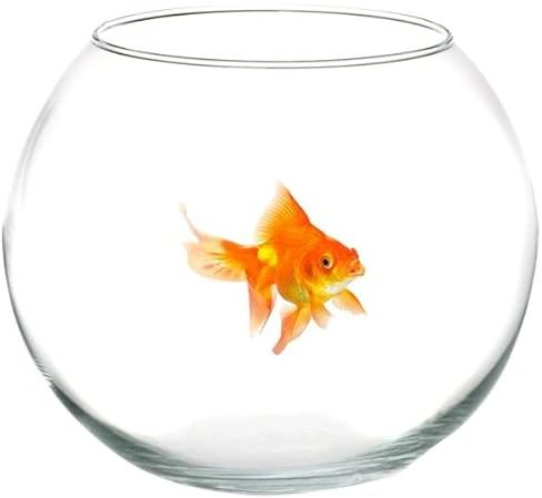 OISE ART STORE Trade Shop - Ampolla Boccia per Pesci in Vetro 25 Cm Acquario Pesce Rosso Centro Tavola Casa