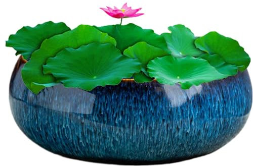 zwxqe Bonsai-Schalen-Übertopf – Vintage-Keramik-Wasserlilien-Pflanzgefäß, Glasur, nicht-poröses Design, Hydrokultur-Topf, großer Kaliberbehälter für Zuhause und drinnen