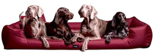 tierlando® Orthopädisches Hundebett Goofy für große Hunde XL bis XXXL mit waschbarerem Polyester-Bezug, ideal bei Gelenkproblemen Größe: 160x110cm | Farbe: 04 Dunkelrot