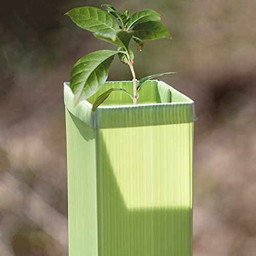 Elixir Gardens Tree & Shrub Defender+ Guards/Shelters | Flatpack Rabbit, Hare, Wildlife, Weather & Wind Guard | Sapling Protection | Optional Stakes | 60cm Tree Guard with Wooden Stake x 5