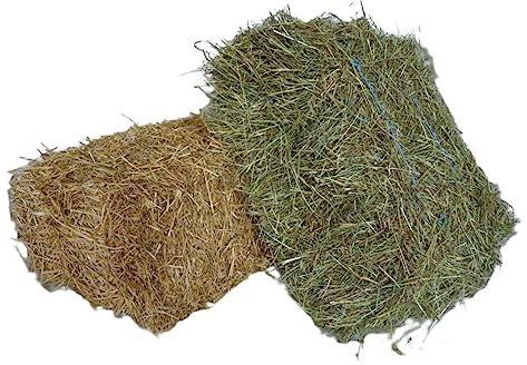 agrar-Store - 10 kg de paja + 10 kg de heno – Combinación de heno + paja – paja de heno para conejo, cobaya, heno de conejo, heno cobaya, heno cosecha 2023