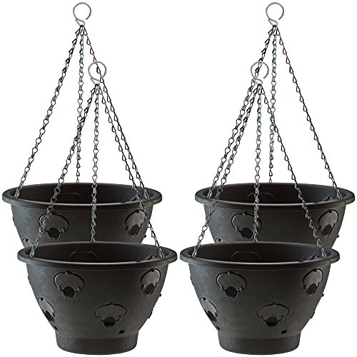 Thompson & Morgan Bloomaround Hanging Basket Garden Planter Plant Container with Water Reservoir for Flowers, Vegetables and Fruits from (30cm, 4 Pack)