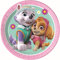 Spin Master PAW Patrol Skye & Everest 10067625 Plates, Pink