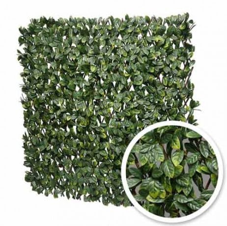 Atout Loisir Treillis Extensible Feuilles de Laurier Amande, Long 3 m, Hauteur 2 m