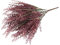 Botanic-Haus künstlicher Erikabusch/Erika (Heidekraut) mit Grashalmen Farbe: Bordeaux