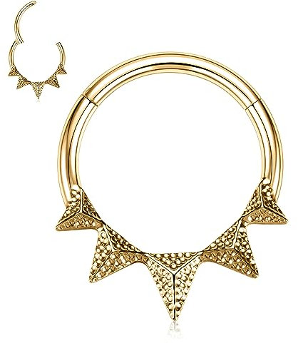 hengkaixuan 16G Septum Schmuck Daith Ohrringe Chirurgenstahl Nasenring Gold Septum Clicker Ring Conch Piercin Schmuck Hammered Seamless Clicker Ring Rook Helix Cartilage Tragus Ohrringe 8mm