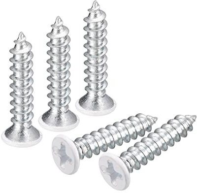 QUARKZMAN ST4x20mm Blanc Vis Autotaraudeuse, 25pcs Plat Tête Phillips Bois Vis pour Travail Bois