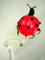 Glasfiguren Bastick Marienkäfer Schwarz Rot Orchideenstab - Blumenstab mit Figur aus Glas - Rankhilfe Deko Orchideen Blu