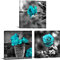 Nachic Wall- 3 pièces Tableau Chambre Décoration murale pour chambre à coucher - Noir et blanc - Bleu sarcelle rose - Prêt à accrocher