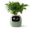 PLANTSIO Intelligenter Pflanzroboter mit Emojis zur Pflanzenpflege, Bezaubernder Pflanzenbegleiter mit umfassender Gesteninteraktion, Gartentopf als Geschenk für den Schreibtisch (Grün)