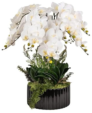 B4y Home dESING Künstliche Orchideen wie echt im Keramik Topf | 8 Zweige weiße Blüten echte Rentierflechte | Blumenarrangement Gesteck Luxusobjekt XL 55cm Gesamthöhe (schwarz)