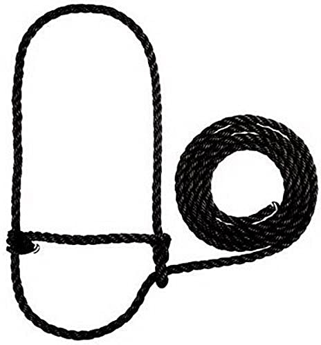 Weaver Leather Livestock Cattle Poly Seil Halfter schwarz