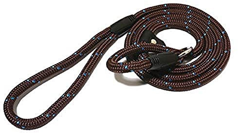 Rosewood Rope Twist Lead, 64-inch, Brown/ Teal