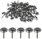 WedDecor Upholstery Tacks Nails Round Head Stud Decorative Thumbtacks Nail Pins For Furniture, Wood Sofa, Chair, Carpet, DIY Projects, 15mm x 9mm, Chrome Silver, 10pcs