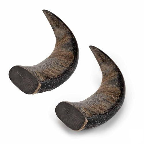 Thistlers Buffalo Horn Dog Chew Large