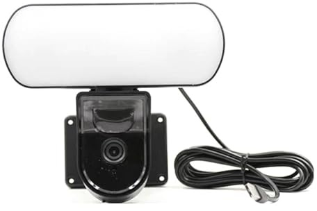 Bamberg Tuya WiFi Kamera Garten Wandleuchte Sicherheitskameras Außen IP65 PIR Smart Detection Sensor Lichtalarm EU Stecker