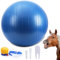 Herding Ball für Pferde, 101,6 cm, Anti-Burst Riesen-Fußball, Spielzeug für Pferde, inklusive Pumpe