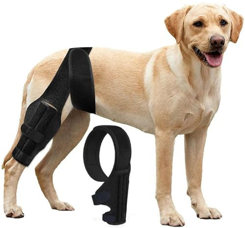 RUYICZB Hunde-Kniebandage Zur Unterstützung Bei Kreuzbandverletzungen, Gelenkschmerzen Und Muskelkater, Bessere Erholung Mit Hunde-ACL-Kniebandage, Verstellbare Hinterbeinbandagen Für Hunde,XS