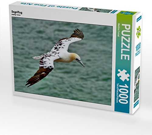 CALVENDO Puzzle Segelflug | 1000 Teile Lege-Größe 64 x 48 cm Foto-Puzzle für glückliche Stunden