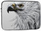 GGNKDL Sketching an Eagle Pattern Antiurto Portatile Laptop Sleeve Bag 15 pollici per Uomini Donne Viaggi d'affari, Ufficio Uso quotidiano