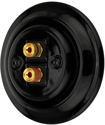 Prise d'enceinte encastrée en porcelaine rétro, 2 prises, tout-en-un, série PR1 noire