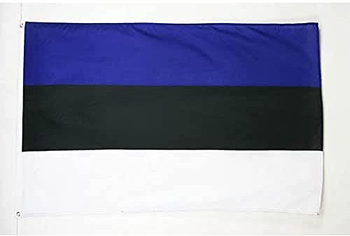 AZ FLAG - Flagge Estland - 90x60 cm - Estnische Fahne 100% Polyester mit Messing-Ösen - 50g