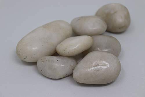 Galets polis, Galets de rivière, Galets, Galets de Jardin, Galets d'ornement - diverses quantités (60Kg Blanc)