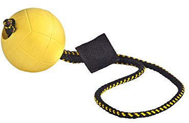 DINGO GEAR WWW.DINGOGEAR.COM 1977 Magnetset für das Hundetraining: eingefasster Magnet und Magnetgriff Gummiball