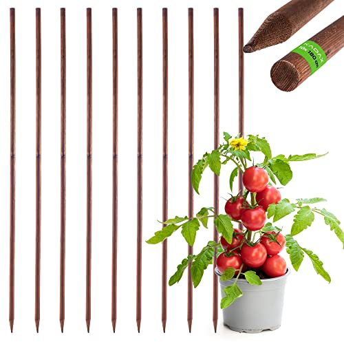 KADAX Tuteur pour plantes grimpantes en bois imprégné - Bâton pour plantes grimpantes - Résistant aux intempéries - Treillis de fleurs, treillis, piquets en bois, piquets (10, 28 mm x 180 cm)
