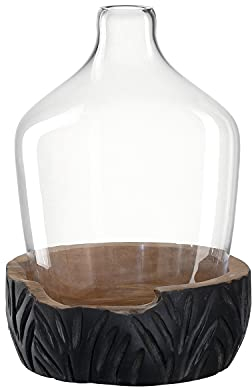 LEONARDO HOME 084398 Vase mit Holzsockel CASOLARE 33 cm, Materialmix, durchsichtig/schwarz