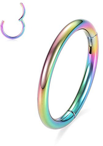 Nasenringe Hoop 8G Septum Nasenringe 10mm 316L Chirurgenstahl Nahtloser Clicker-Ring Higned Segment Hoop Regenbogen Septum Ring Conch Hoop Ring Daith Tragus Knorpel Helix Ohrring Piercing Schmuck
