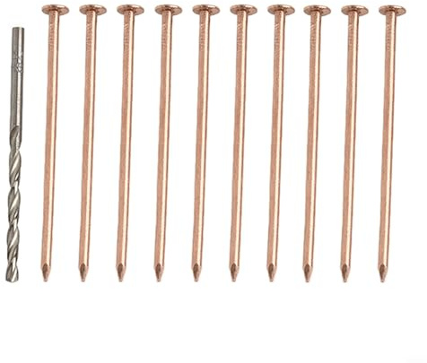 GANCEI Copper Nails Tree Stump Killer, 3.15 Inch Tree Killing Spikes With Drill Bit Root Elimination Hardware 10 Pack
