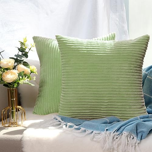 CALIYO Kissenhülle Kord Uni 2er Set, Kissenbezug 45x45 Kissenbezüge für Zierkissen Dekokissen Sofakissen Couchkissen in vielen Farben.