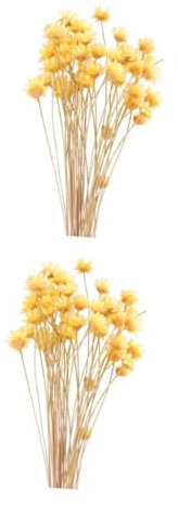 TOPBATHY 100stücke Gelbe Brasilianische Kleine Sternblumen Dekorative Getrocknete Blumen Für Hochzeitsarrangements Home Decor Und Fotografie Lifelike Blumenstrauß Für Jeden Anlass