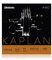 D'Addario Kaplan Amo Violinsaiten - Vollständiger Satz - KA310 4/4L - Violinsaiten - 4/4 Skala, Leichte Spannung
