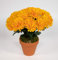 Chrysantheme 26cm gelb im Topf DP Kunstpflanzen künstliche Pflanzen Blumen Kunstblumen