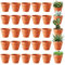 Gobesty 30 Pcs Terracotta Pots, Mini Plant Pots, Ceramic Flower Pots, Small Craft Nursery Pot with Drain Hole, Small Terracotta Plant Pots, Clay Pot for Cactus Succulent House Plants