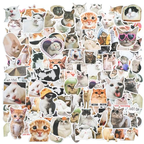 RAFIYU Katzen Aufkleber, 100 Stück Katzen Sticker Meme Süße Katzen Aufkleber Wasserdicht PVC Ästhetisch Aufkleber für Katzenliebhaber Wasserflaschen Koffer Notebook Telefon (Lustiges Katzenform)