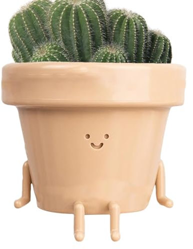 Vaso per piante grasse per collana di perle – Vaso per piante in resina dal design seduto, decorazione da giardino per gli amanti delle piante, regalo per la festa della mamma, Natale, festival
