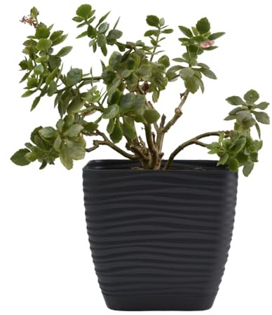 B2C Plant Pot Flowerpot Square Plastic Modern Decorative Wave Grooves Textured Elegant & Modern With Saucer (Anthracite, 17cm)