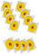 all-around24 12 Stück Fliegenfänger Blume, Insektizid-Frei, geruchlos, transparent, selbstklebend, Motiv Fenster-Fliegenfalle Aufkleber (12 Stück)