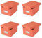 4x Goldbuch Fotobox Bella Vista bis 2800 Fotos 10x15 Foto Aufbewahrungsbox (lachs)