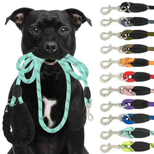 Reichstadt Pets Hundeleine - aus weichem Nylon mit Eva-Griff, reflektierend, drehbarer Metallhaken | robuste Führleine für kleine, mittelgroße und große Hunde 25RSP084 Turquoise 1,5m